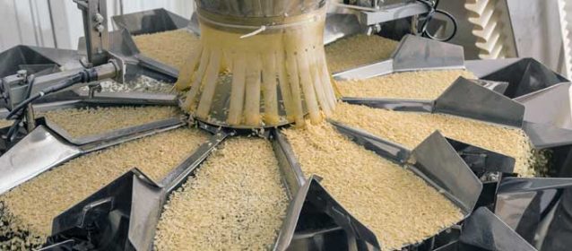 food processing erp software